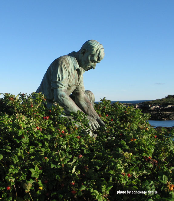 Harpswell in season