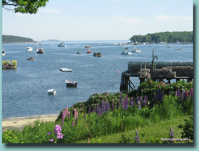 Harpswell in season